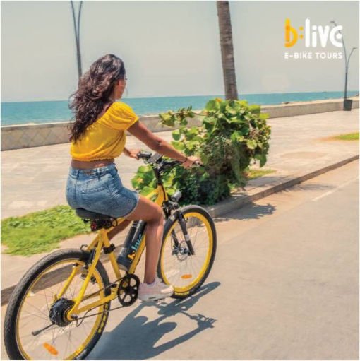 Mobirise